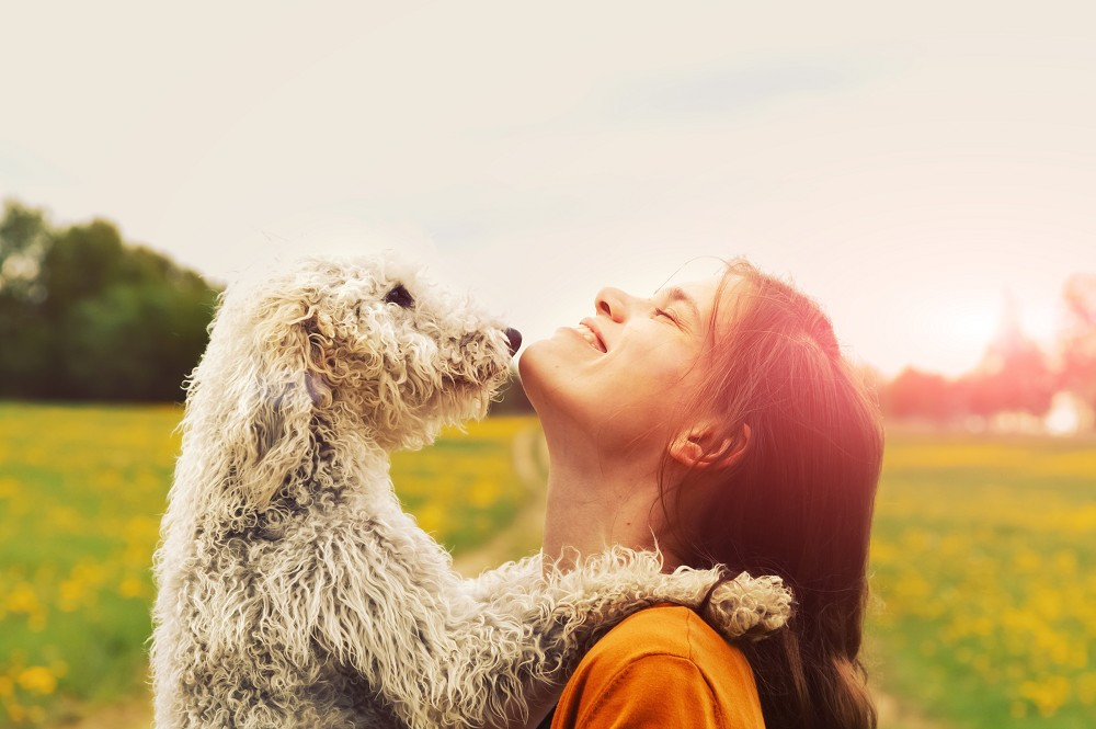 Tierkommunikation - Die stille Sprache zwischen Mensch und Tier: Foto: © zakalinka / AdobeStock / #85155577